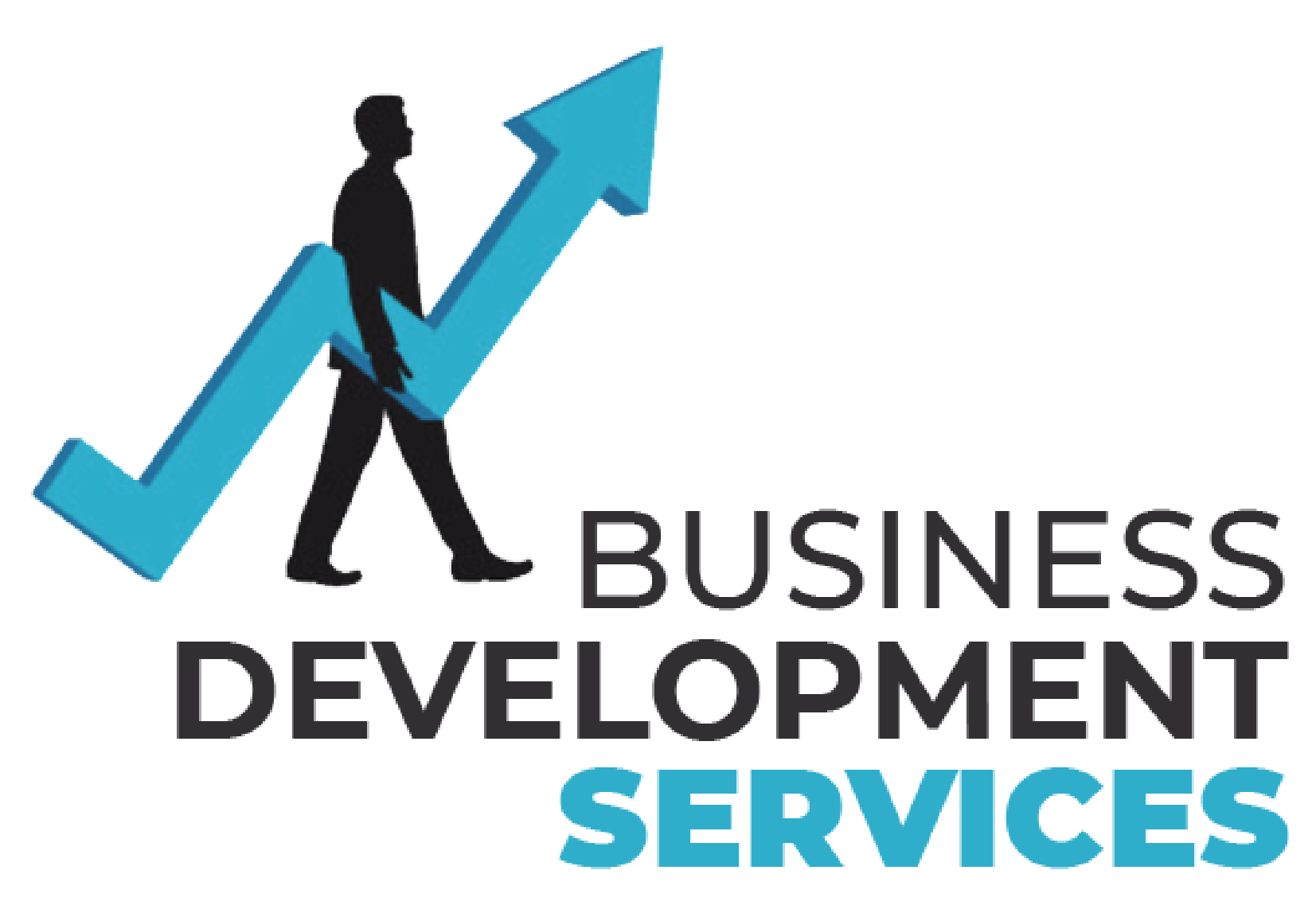 Bernd Guenssler – Business Development Services